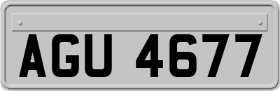 AGU4677