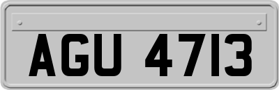 AGU4713
