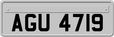 AGU4719