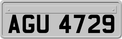 AGU4729