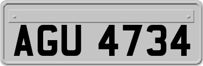AGU4734