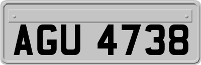 AGU4738