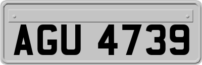 AGU4739