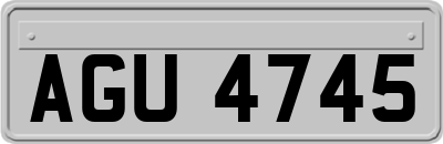AGU4745