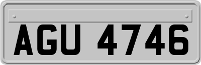 AGU4746
