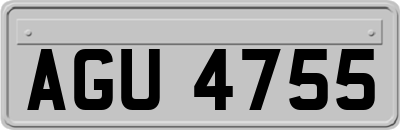 AGU4755