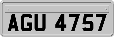 AGU4757