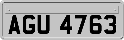 AGU4763