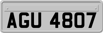 AGU4807