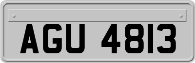 AGU4813