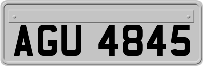 AGU4845