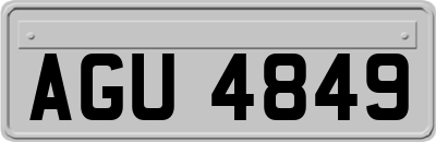 AGU4849