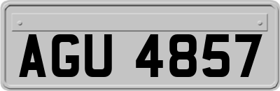 AGU4857