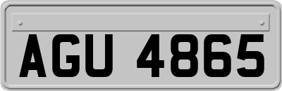 AGU4865