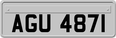 AGU4871
