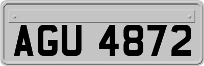 AGU4872