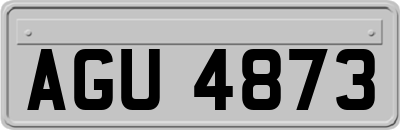 AGU4873
