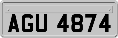 AGU4874