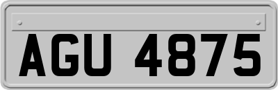AGU4875