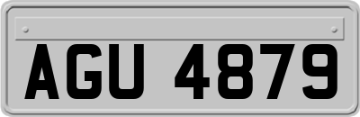 AGU4879
