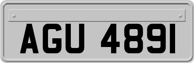 AGU4891