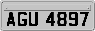 AGU4897