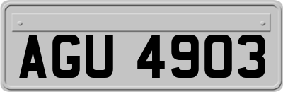 AGU4903