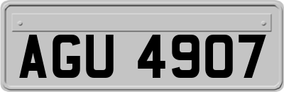 AGU4907