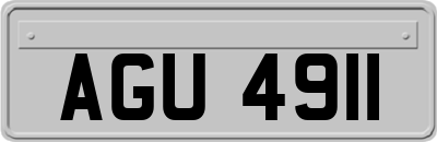 AGU4911
