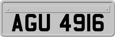 AGU4916