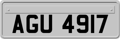 AGU4917