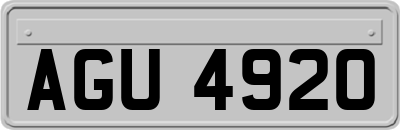 AGU4920