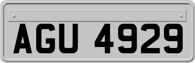 AGU4929