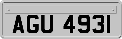 AGU4931