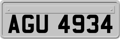 AGU4934