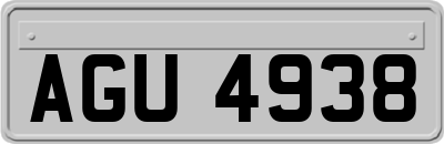 AGU4938