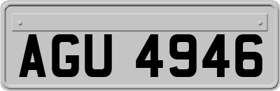 AGU4946
