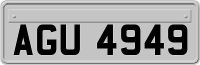 AGU4949