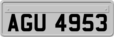 AGU4953