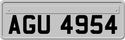 AGU4954