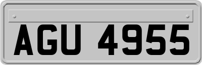 AGU4955
