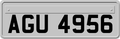 AGU4956
