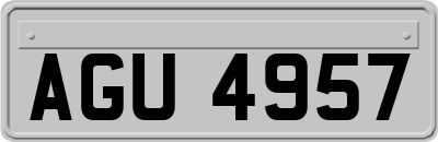 AGU4957