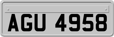 AGU4958