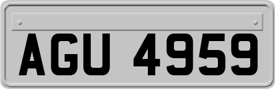 AGU4959