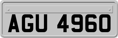 AGU4960