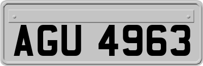 AGU4963