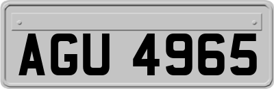 AGU4965