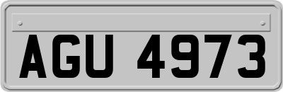 AGU4973