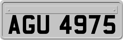 AGU4975